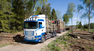 Verdikjeden skog og tre utgjør nesten 15% av godstransporten i Norge. 94% av verdikjedens transport går langs vei og 15% av omsetningen i verdikjeden går til transportkostnader. Dette er det dobbelte av gjennomsnittet for norsk industri. Sommel i saksbehandlingen av endringer i regelverket rundt vekt og lengde på lastebiler bidrer til å forsterke den vanskelige situasjonen i verdikjeden.