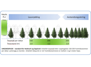 SSB har sluppet statistikken over skogkultur for 2018.