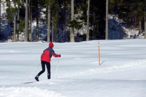 Erik Eide i Skiforeningen stiller seg tvilende til om nasjonalpark i Østmarka er forenelig med friluftslivet. Han frykter både for ski og løypenett - og for leirskolen på Vangen.