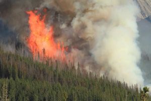 Sommeren 2018 ble den tørreste sommeren på over 70 år. Dette førte til en ekstrem stor skogbrannfare over store deler av landet. I perioder var det over 100 skogbranner samtidig. Til tross for dette store antall branner, klarte vi i Norge å unngå de store skogbrannene.