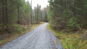 Statistikken gir informasjon om antall kilometer nybygde og ombygde skogsveier som ble ferdigstilt og godkjent i meldingsåret. Den bygger på uttrekk av data fra Landbruksdirektoratets database for Skogfond.