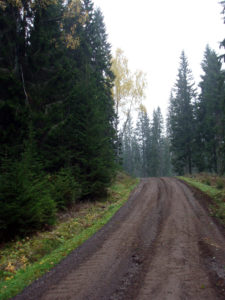 Med virkning fra 1. januar 2007 ble formål man kunne benytte skogfond med skattefordel til, utvidet til å omfatte vedlikehold av skogsbilveger.