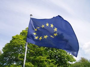 Rådet for Den europeiske union beklager at medlemslandene ikke ble involvert i arbeidet med EUs Skogstrategi.