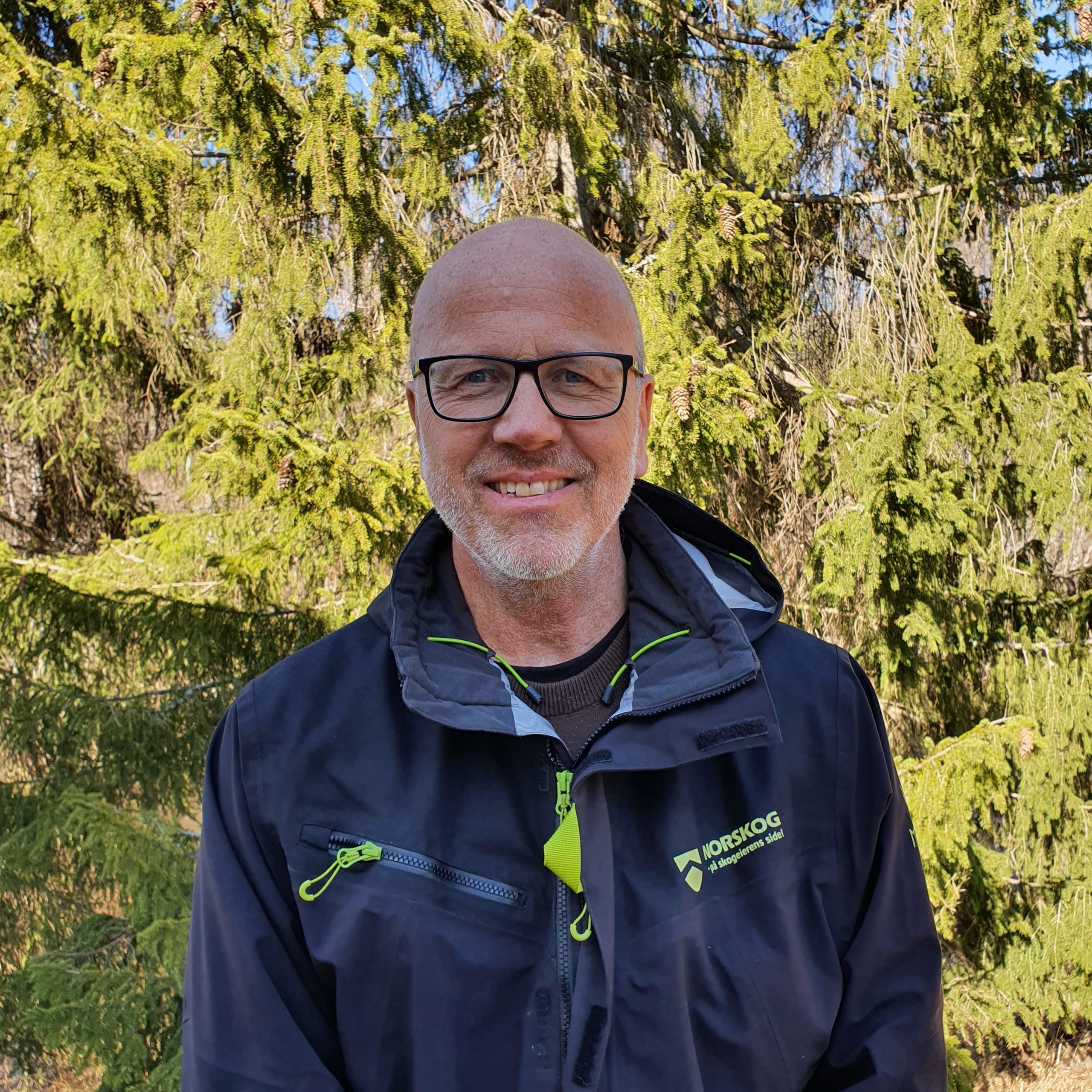 Bakgrunn og erfaring – Tormod