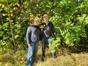 Denne høsten har Hedda Ringnes og Fredrik Veggeland internship hos NORSKOG. De går siste året master i bioøkonomi ved NMBU, med spesialisering innen skog og bioraffinering. Begge har tidligere bachelorgrad i samfunnsøkonomi fra NMBU.